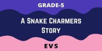 A Snake Charmers Story