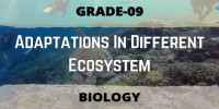 Adaptations in different ecosystem Class 9 Biological Science
