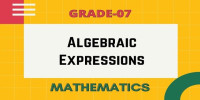 Algebraic Expression class 7