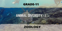 ANIMAL DIVERSITY I CLASS 11 ZOOLOGY