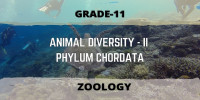 ANIMAL DIVERSITY II PHYLUM CHORDATA