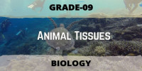 Animal Tissues chapter 3 Class 9 Biological science