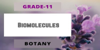 Biomolecules Class 11 Botany 