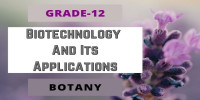 Biotechnology And Its Applications Class 12 Botany