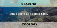 Body Fluids And Circulation Class 12 Zoology