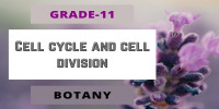 Cell cycle and cell division Class 11 Botany 