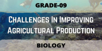 Challenges in improving agricultural production Class 9 Biological Science