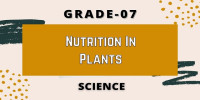 Chapter 10 Nutrition in plants Class 7 science