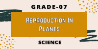Chapter 12 Reproduction in Plants Class 7 science 