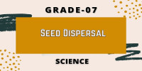 Chapter 13 Seed Dispersal Class 7 science