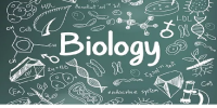 Class 10th Biological Science Reader Pdf