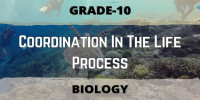 Coordination in the life process 10 class biological science 