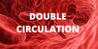 Double Circulation
