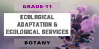 ECOLOGICAL ADAPTATION SUCCESSION AND ECOLOGICAL SERVICES Class 11 Botany 