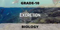 Excretion 10 class Biological Science 