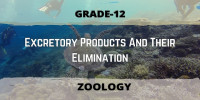 Excretory Products And Their Elimination