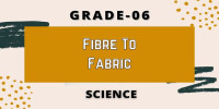 Fibre to Fabric Class 6 Science