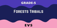 Forests Tribals