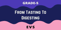 From Tasting To Digesting