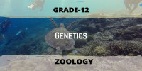 Genetics Class 12 Zoology 