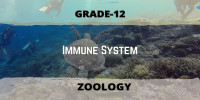 Immune System Class 12 Zoology