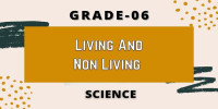 Living and non living Class 6 Science