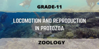 LOCOMOTION AND REPRODUCTION IN PROTOZOA