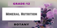 Mineral Nutrition Class 12 Botany 