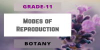 Modes of Reproduction Class 11 Botany