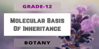 Molecular Basis Of Inheritance Class 12 Botany