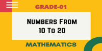 Numbers from 10 to 20 class 1 mathematics