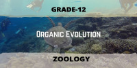 Organic Evolution Class 12 Zoology 