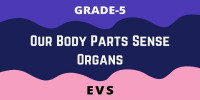 Our Body Parts Sense Organs