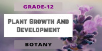 Plant Growth And Development Class 12 Botany 