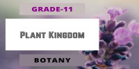Plant Kingdom Class 11 Botany