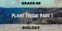 Plant Tissue Part 1Class 9 biological science 
