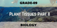 Plant Tissues Part II Class 9 Biological science