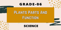 Plants parts and function Class 6 Science