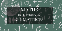 Polynomials for class 10