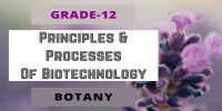 Principles And Processes Of Biotechnology Class 12 Botany