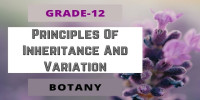 Principles Of Inheritance And Variation