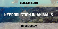 Reproduction in animals Class 8 Biological science