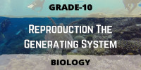 Reproduction the generating system class 10 Biological science