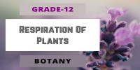 Respiration Of Plants Class 12 Botany 