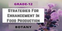 Strategies For Enhancement In Food Production