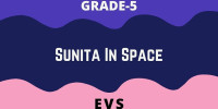 Sunita In Space