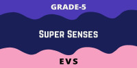 Super Senses class 5 EVS