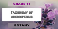 Taxonomy of angiosperms Class 11  Botany