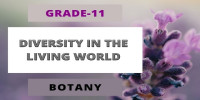 The living world Class 11 Botany 