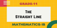 The straight line 3d section 1